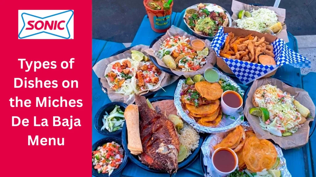 Miches De La Baja Menu – Updated Prices, Dishes, Locations, Hours & Reviews 2 Types of Dishes on the Miches De La Baja Menu